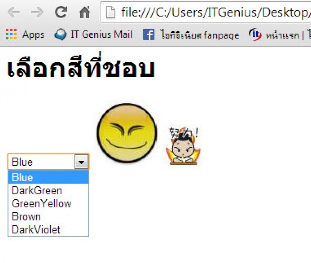 รูปแบบตัวเลือกรายการ