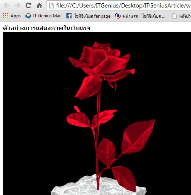 การนำภาพแสดงบนเว็บ <img>