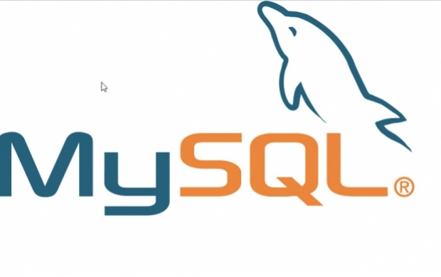 วิธีการเพิ่มข้อมูลใหม่เข้าสู่ฐานข้อมูลด้วยคำสั่งภาษา SQL