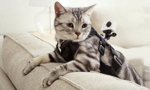 Xiaomi เปิดตัว Yi Camera กล้อง Action Camera ถ่ายวิดีโอ Full HD กันน้ำ 40 เมตร