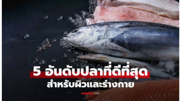 เคล็ดไม่ลับ การบริโภคปลาที่ดีที่สุดสำหรับผิวและร่างกาย และไม่ต้องกังวลเรื่องอ้วน