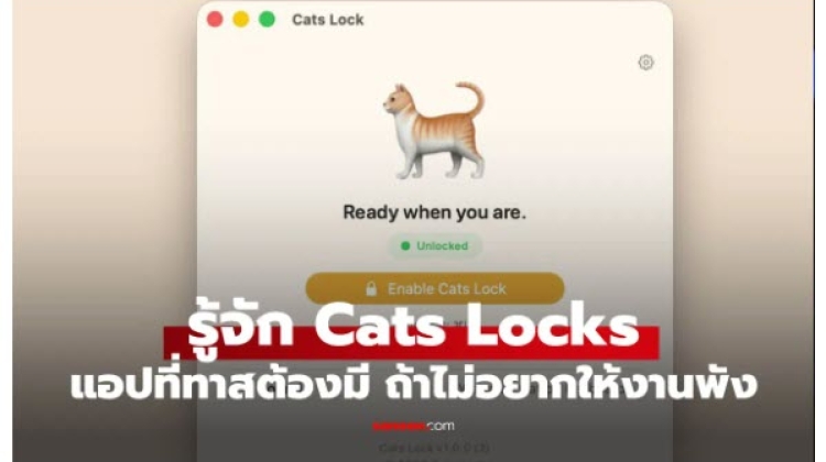 Tip สำหรับทาสแมวต้องมี Cats Lock ล็อกคีย์บอร์ดกันเจ้านายสี่ขากดงานพัง