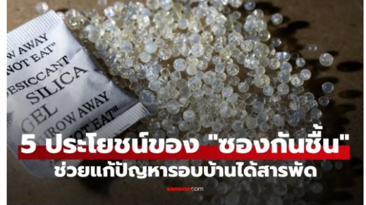 5 ประโยชน์สุดว้าวของ ซองกันชื้น ช่วยแก้ปัญหารอบบ้านได้สารพัด