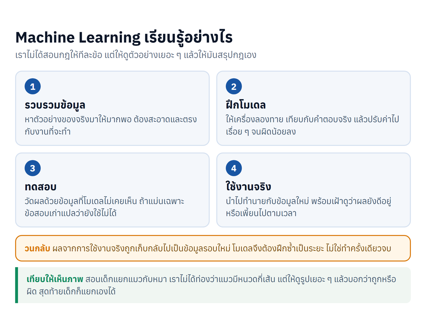 ขั้นตอนการทำงานของ Machine Learning ตั้งแต่รวบรวมข้อมูล ฝึกโมเดล ทดสอบ จนถึงใช้งานจริง