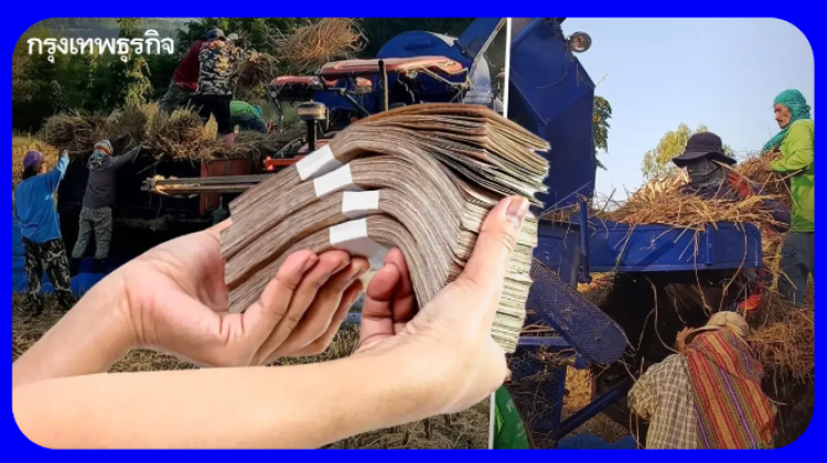 เงินช่วยเหลือชาวนาไร่ละ 1,000 เช็ควันได้เงิน ธ.ค. 67 เตรียมเข้าแล้ว