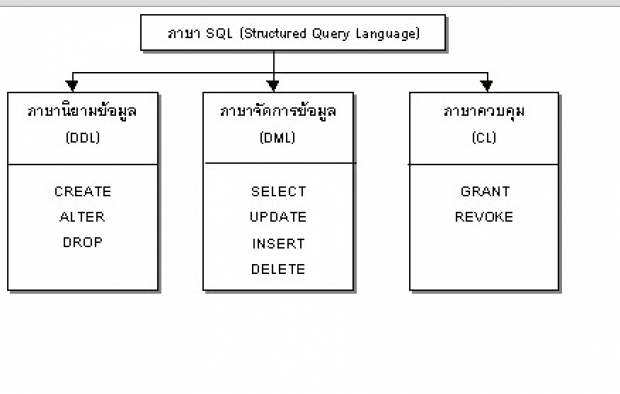 องค์ประกอบโดยรวมของฐานข้อมูล