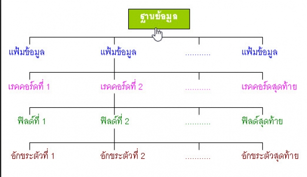 นิยามพื้นฐานในระบบฐานข้อมูล Access