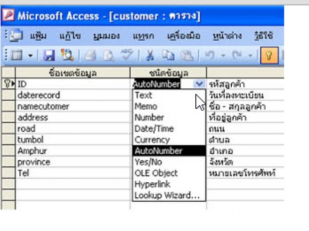 รูปแบบของข้อมูลใน Access