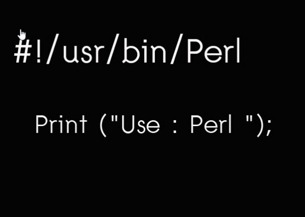 ตัวแปรพื้นฐานในภาษา Perl
