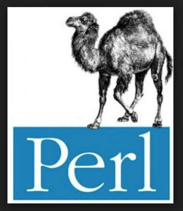 ภาษา Perl Programming