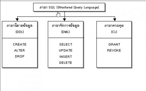 รู้จักชนิดของข้อมูลในภาษา PHP  