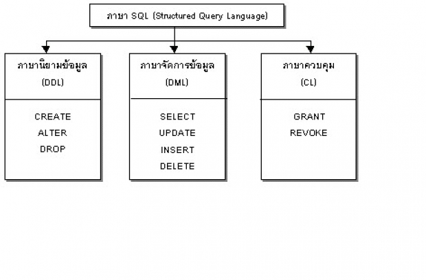 รู้จัก Data Manipulation Language 