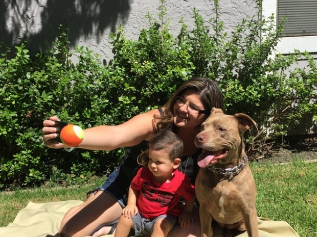 Pooch Selfie อุปกรณ์ที่ช่วยให้การถ่ายรูปเซลฟี่กะน้องหมา