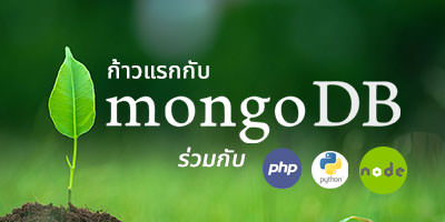 Basic MongoDB with PHP Python and NodeJS