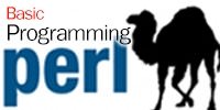 Basic Perl Programming